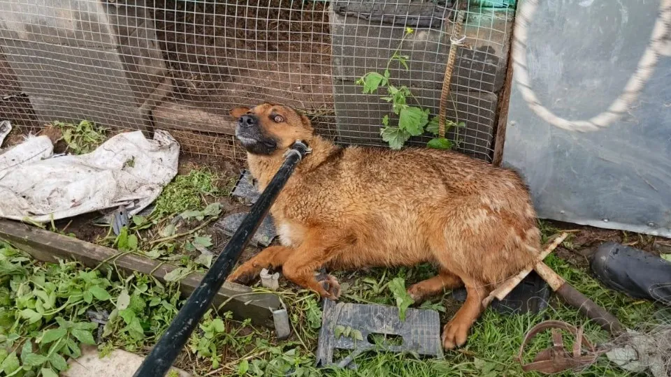 Фото: пресс-служба ГКУ МО «Мособлпожспас»