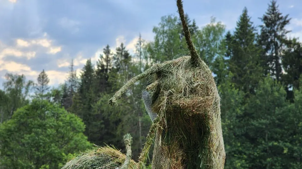 Фото: Елена Шумакова