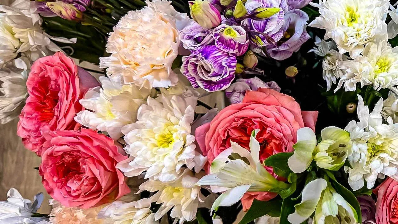 REGIONS/Дарина Левкина