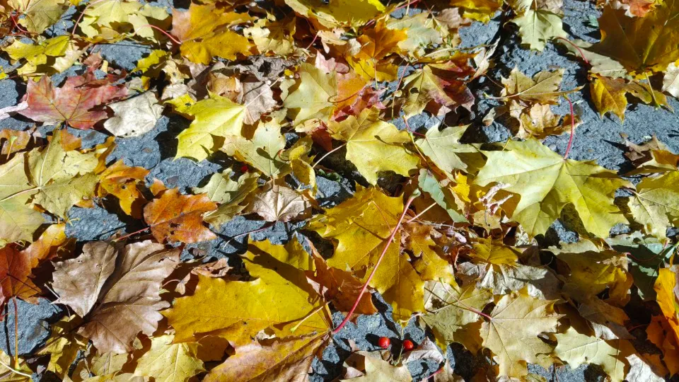 Фото: REGIONS/Елена Шахиджанова