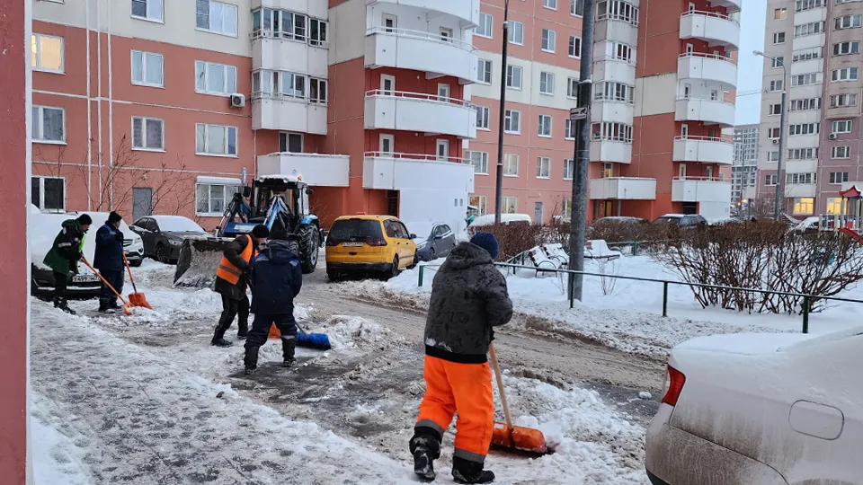 Фото: МедиаБанк Подмосковья/Елизавета Приймак