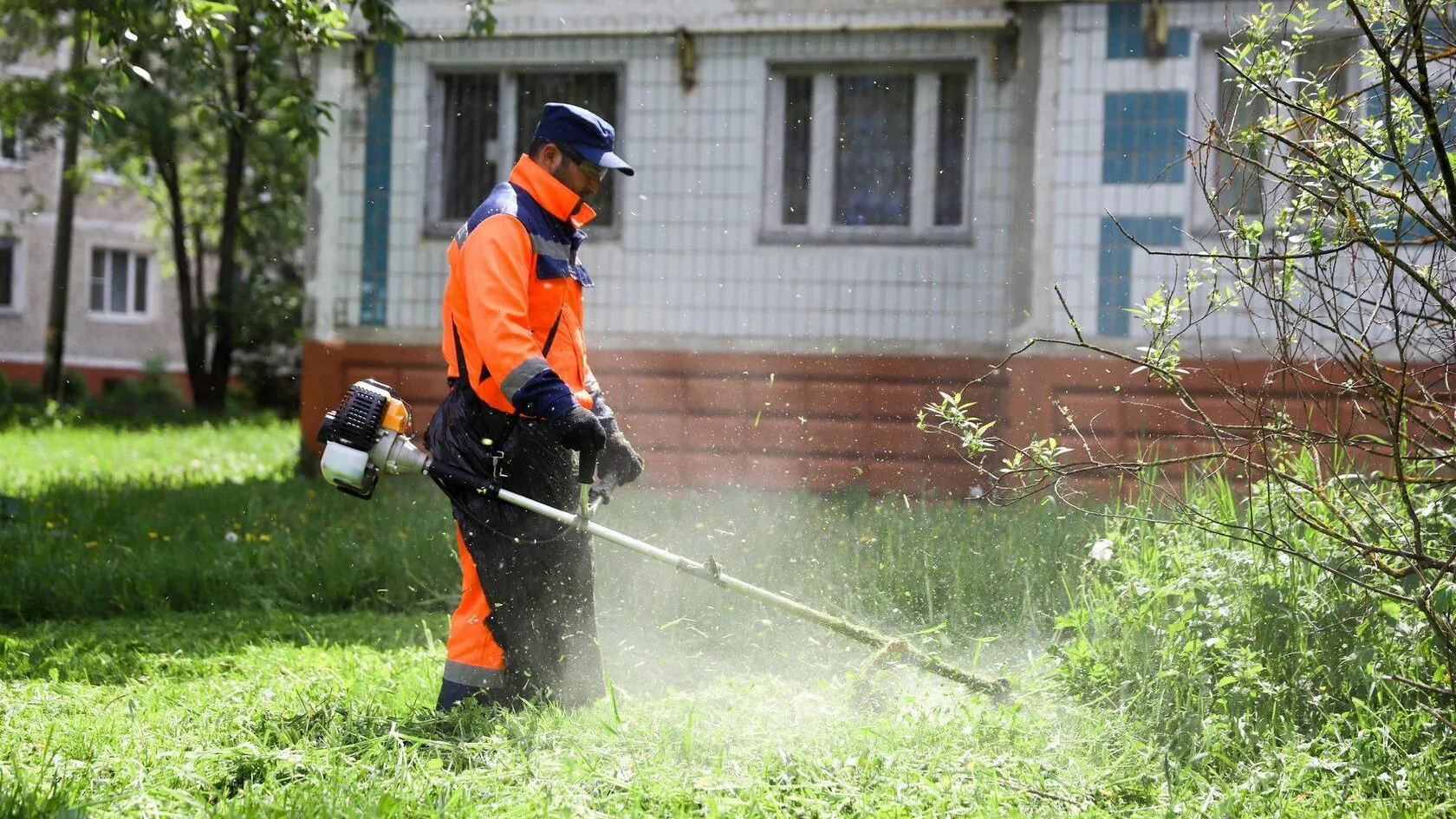 фото: пресс-служба администрации городского округа Солнечногорск