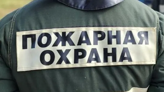 Фото: МедиаБанк Подмосковья/Яна Шаливская