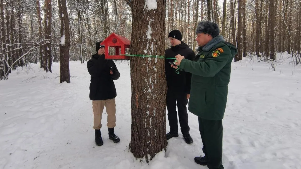 Профильные классы для будущих лесников создадут в школах Подольска