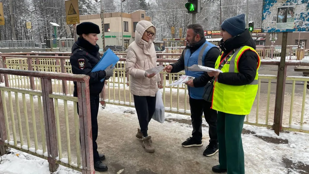 В Пушкинском прошел профилактический рейд на станции Зеленоградская