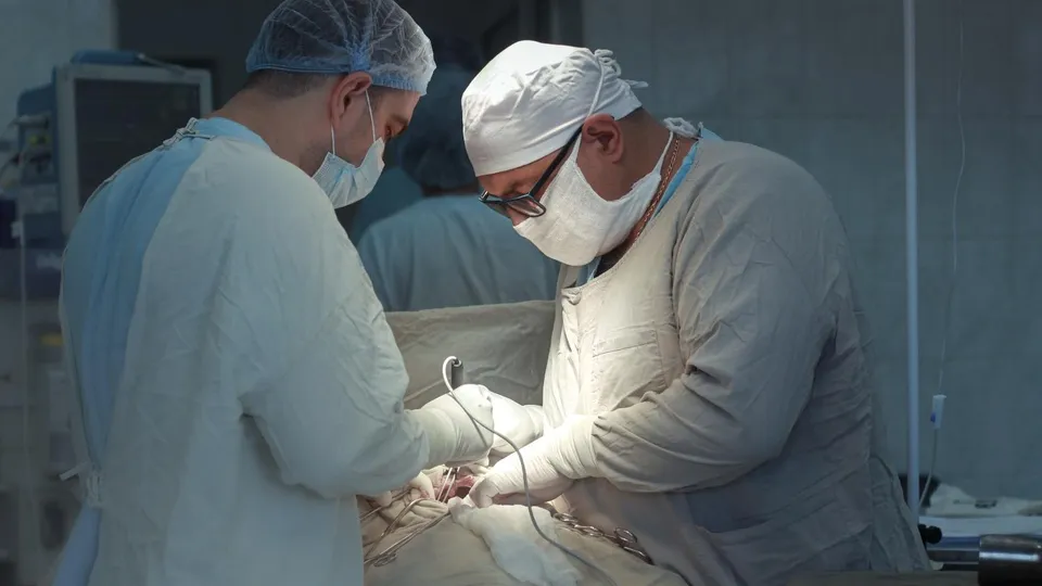 Фото: пресс-служба администрации Сергиево-Посадского г.о.