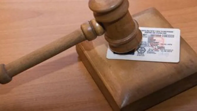 Водителя, сбившего девочку на зебре в Пушкинском районе, лишат прав