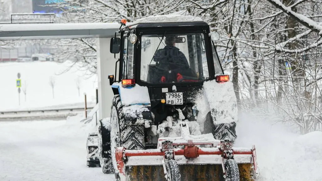 Фото: пресс-служба администрации г.о. Химки