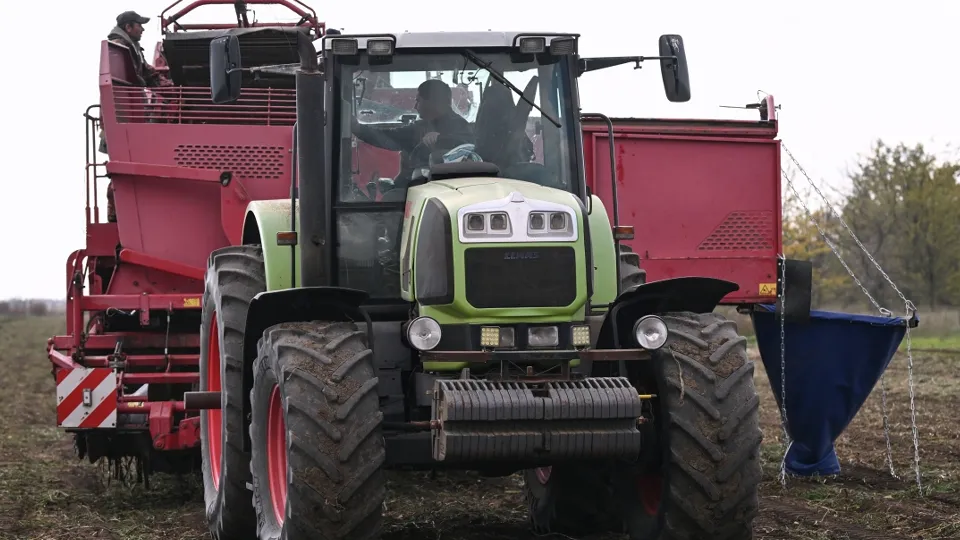 Фото: РИА Новости/Константин Михальчевский