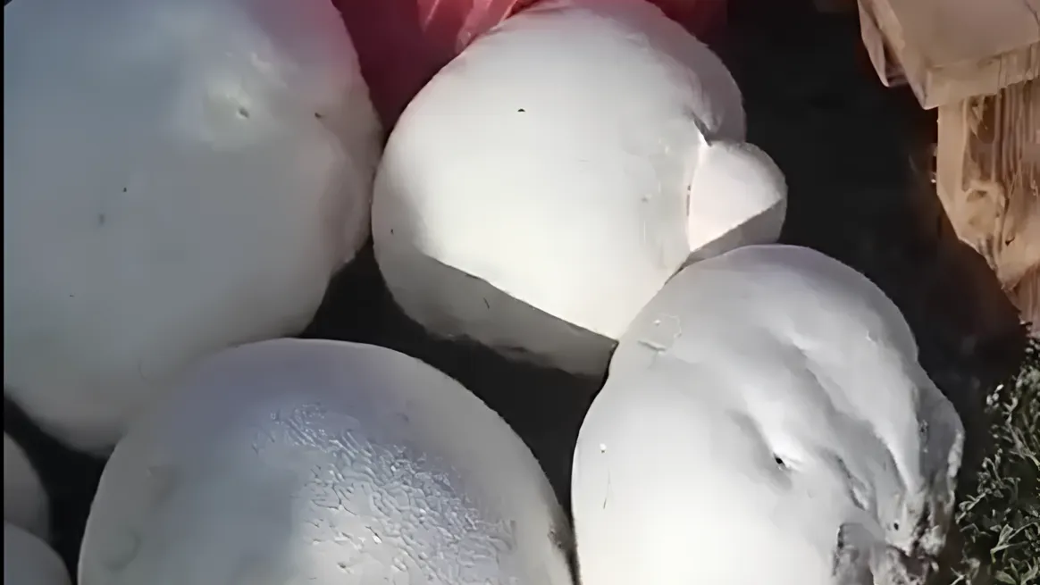 фото: соцсети