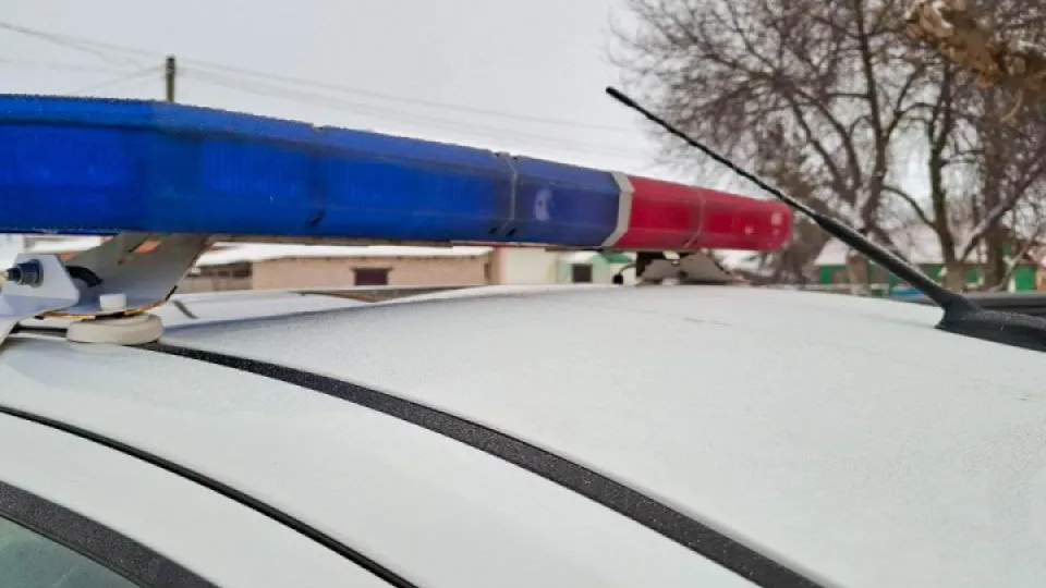 Фото: REGIONS/Юлия Габбасова