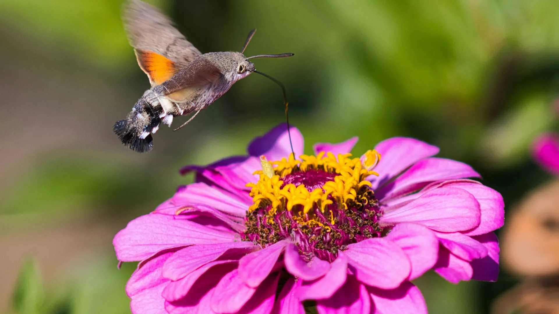 Фото: unsplash.com