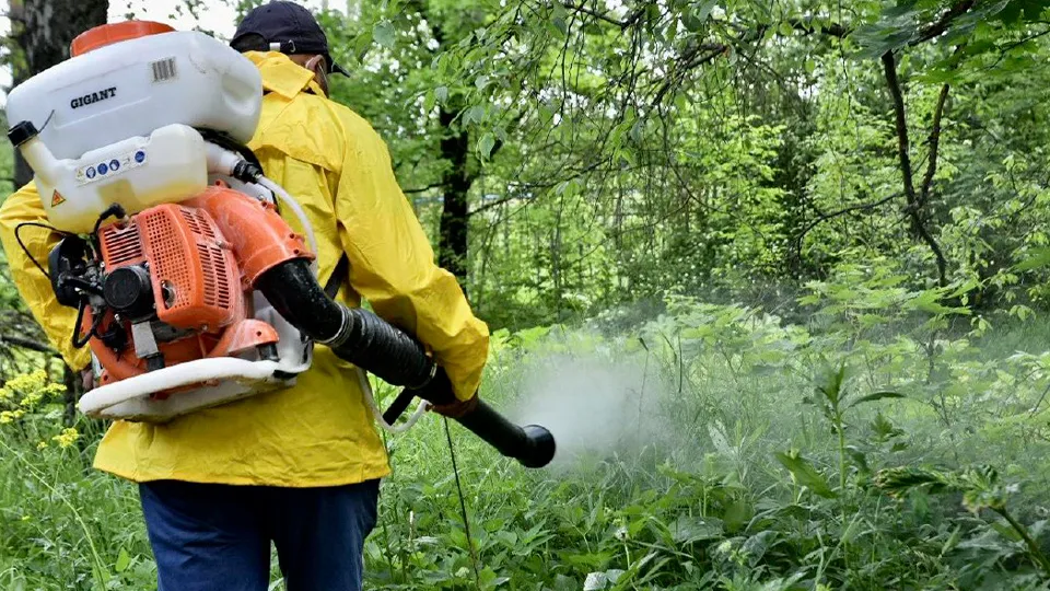 Фото: пресс-служба администрации г.о. Солнечногорск