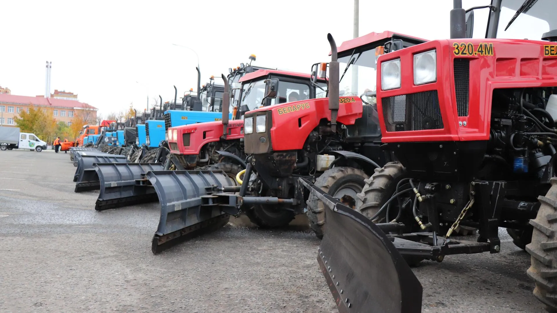 Фото: Василий Тремасов