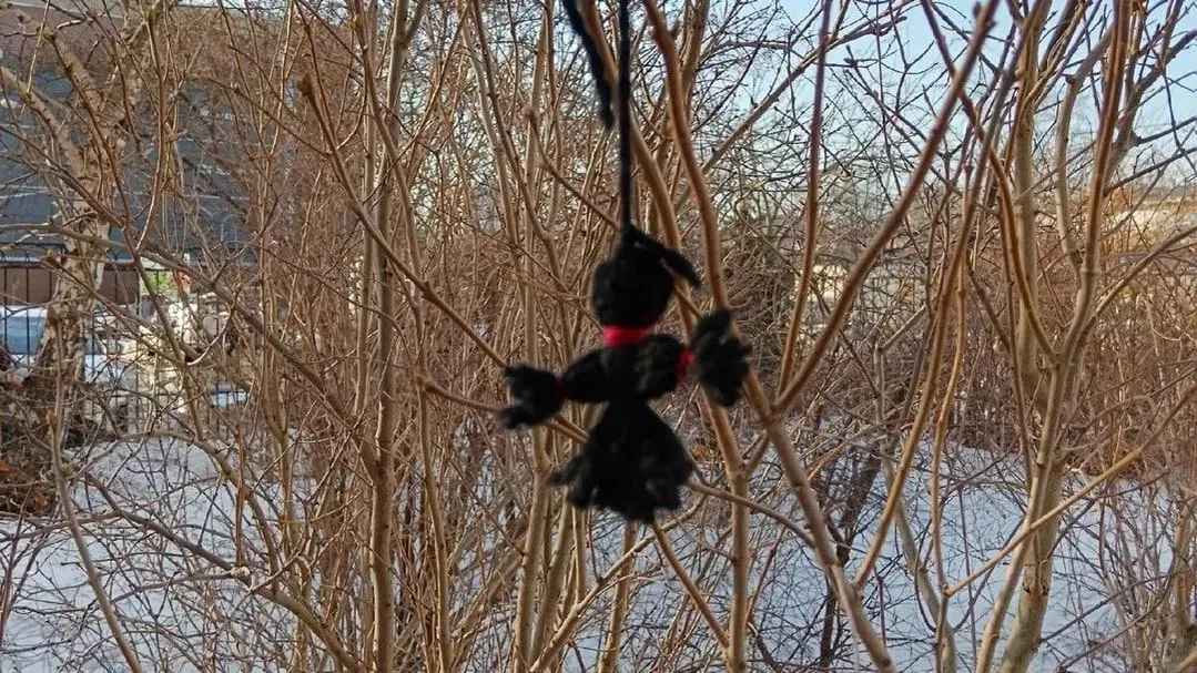 Узел болезни: странная находка на дереве напугала жителей Балашихи