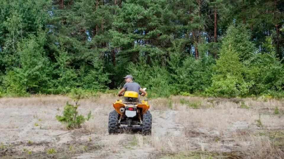 Фото: freepik.com