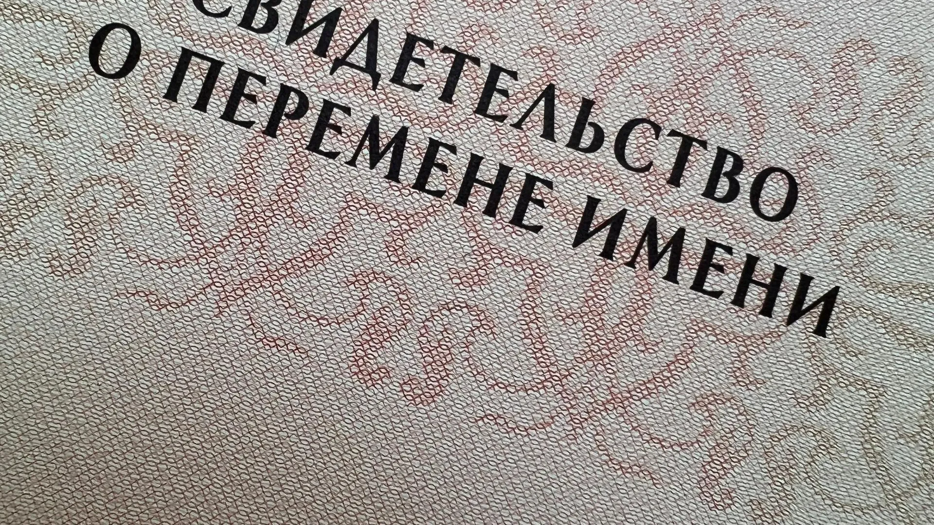 Фото: ГУ ЗАГС МО