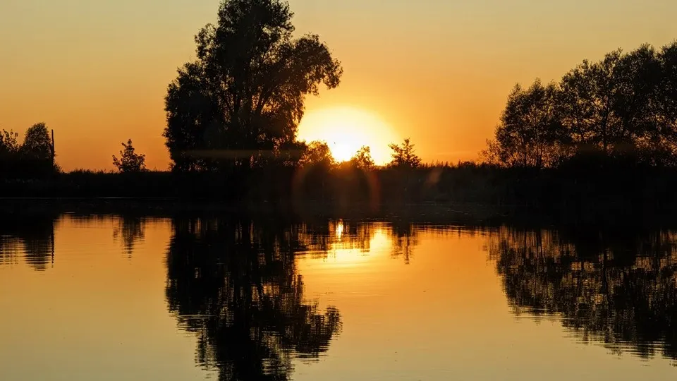 Фото: REGIONS/Алексей Селиверстов