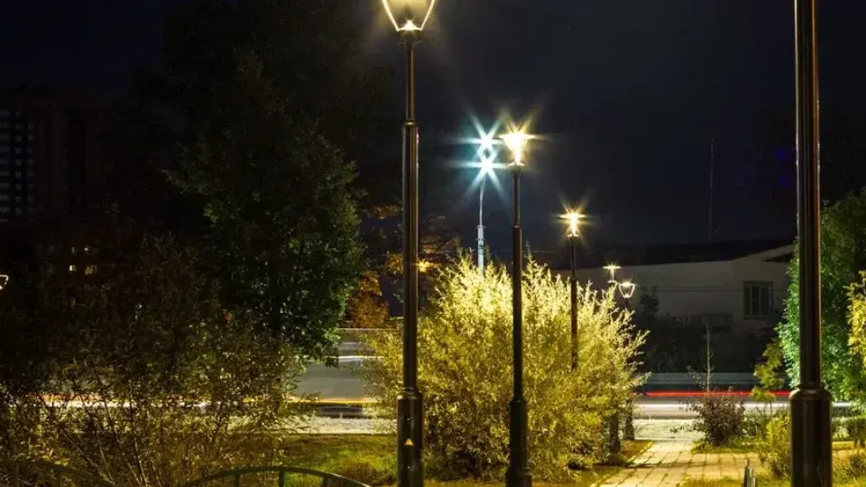 Фото: Министерство благоустройства Московской области