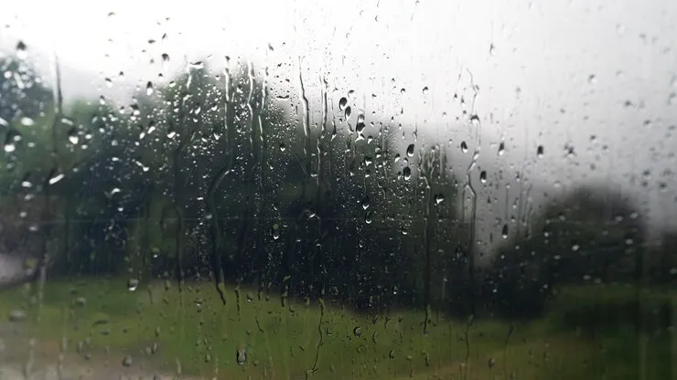 Фото: https://ru.freepik.com/