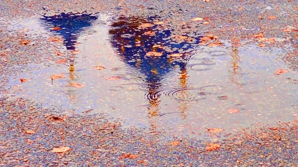 Фото: REGIONS/Алексей Селиверстов