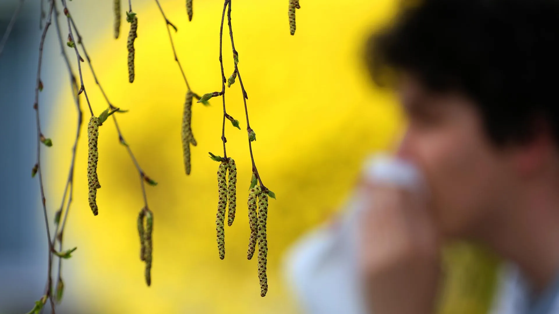 Karl-Josef Hildenbrand/dpa