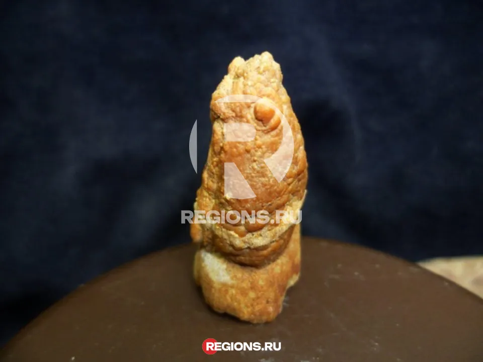 Кварцевая конкреция «Голова рыбы