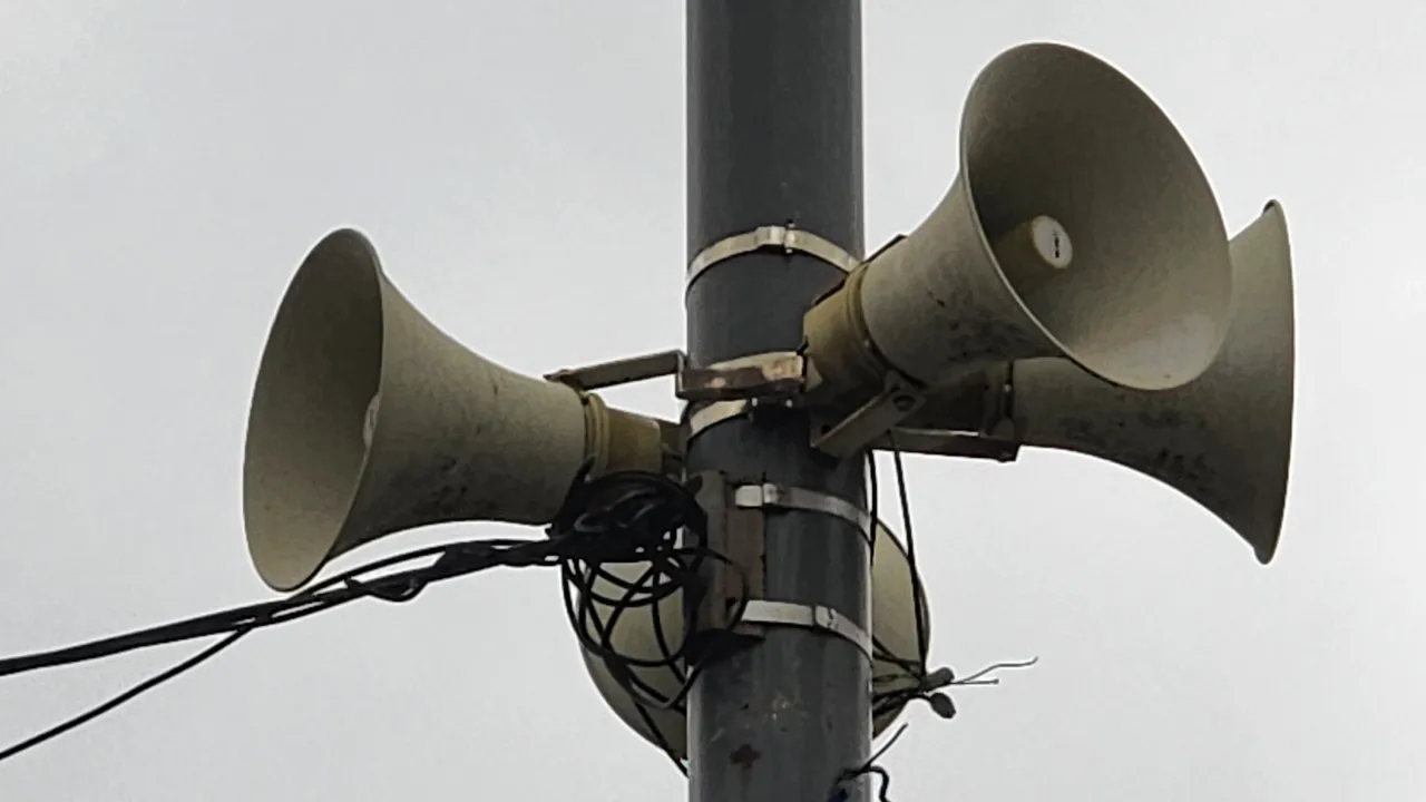 МедиаБанк Подмосковья/Дмитрий Павлов