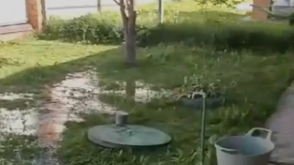 Фото: соцсети