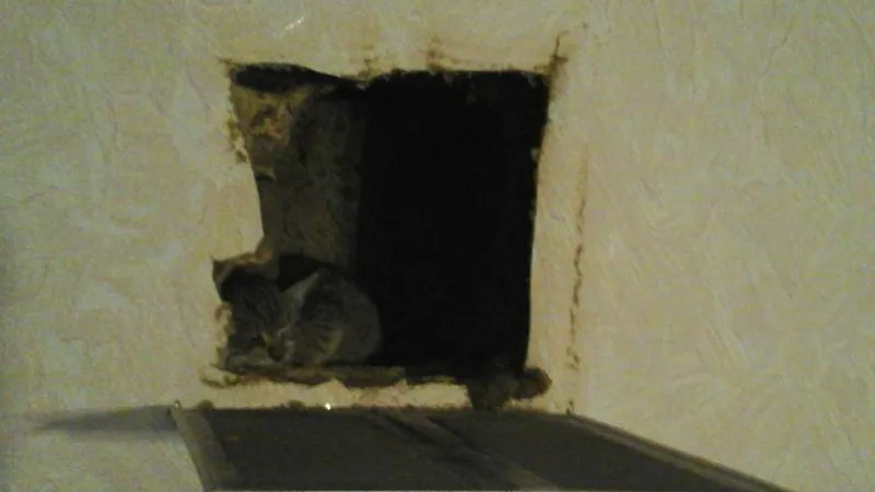Лариса Иванова