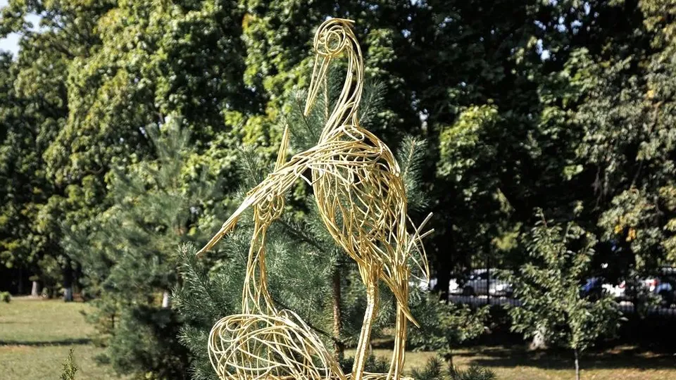 Фото: МОЦОМД