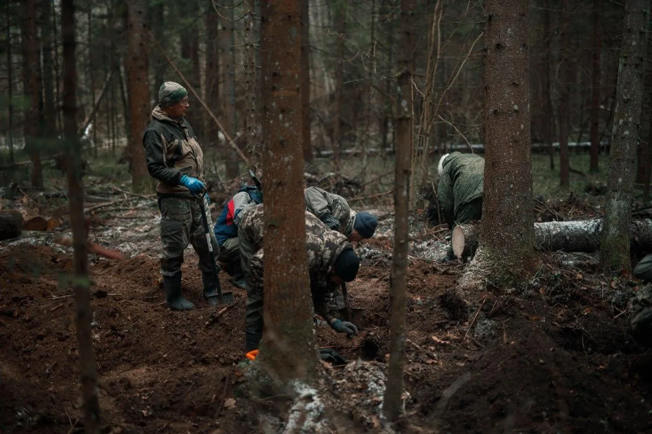 «Поиск50.рф»