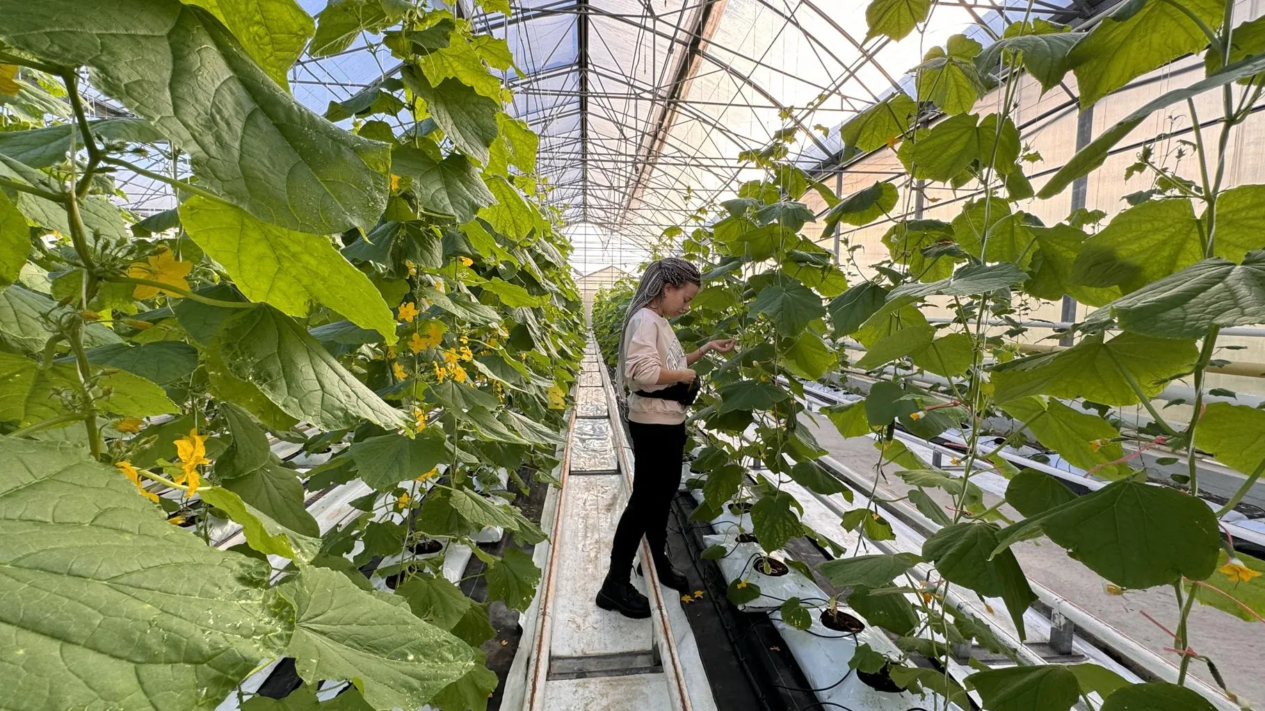 Фото: Мария Шматкова