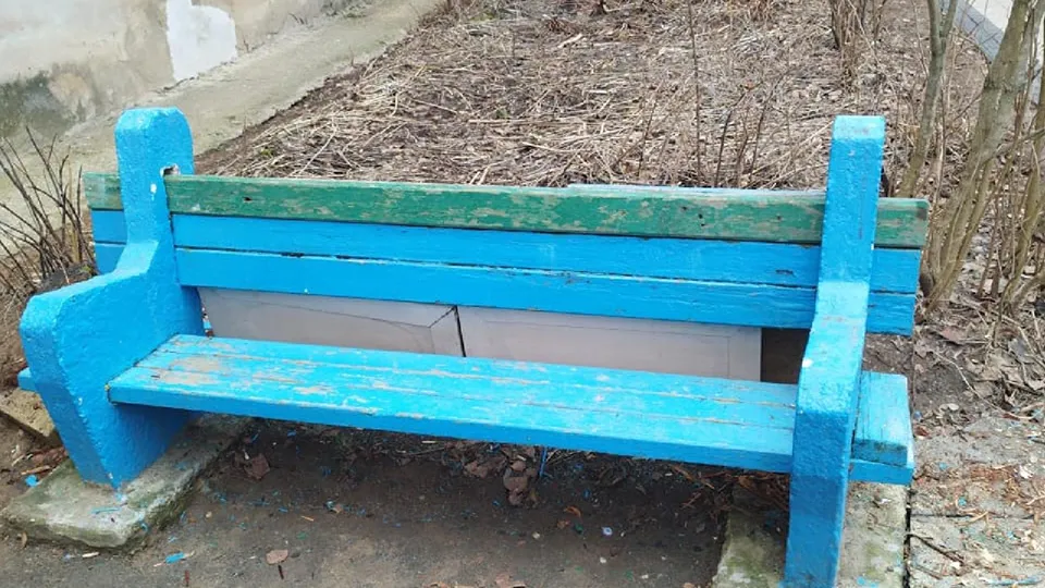 Фото: администрация м.о. Лотошино