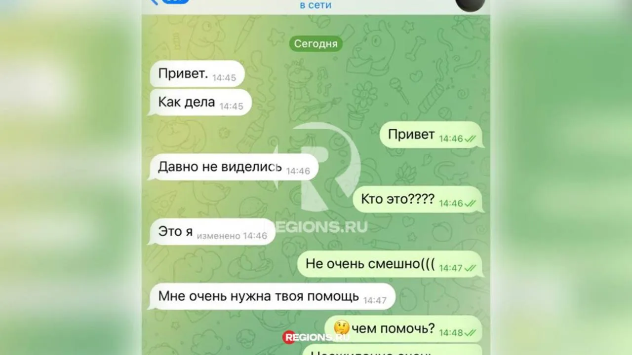 Фото: скрин сообщения из архива Александра Л.