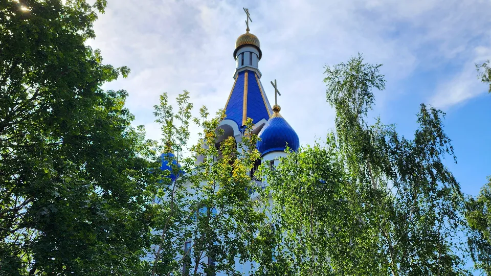 Фото: МедиаБанк Подмосковья/Роман Савельев