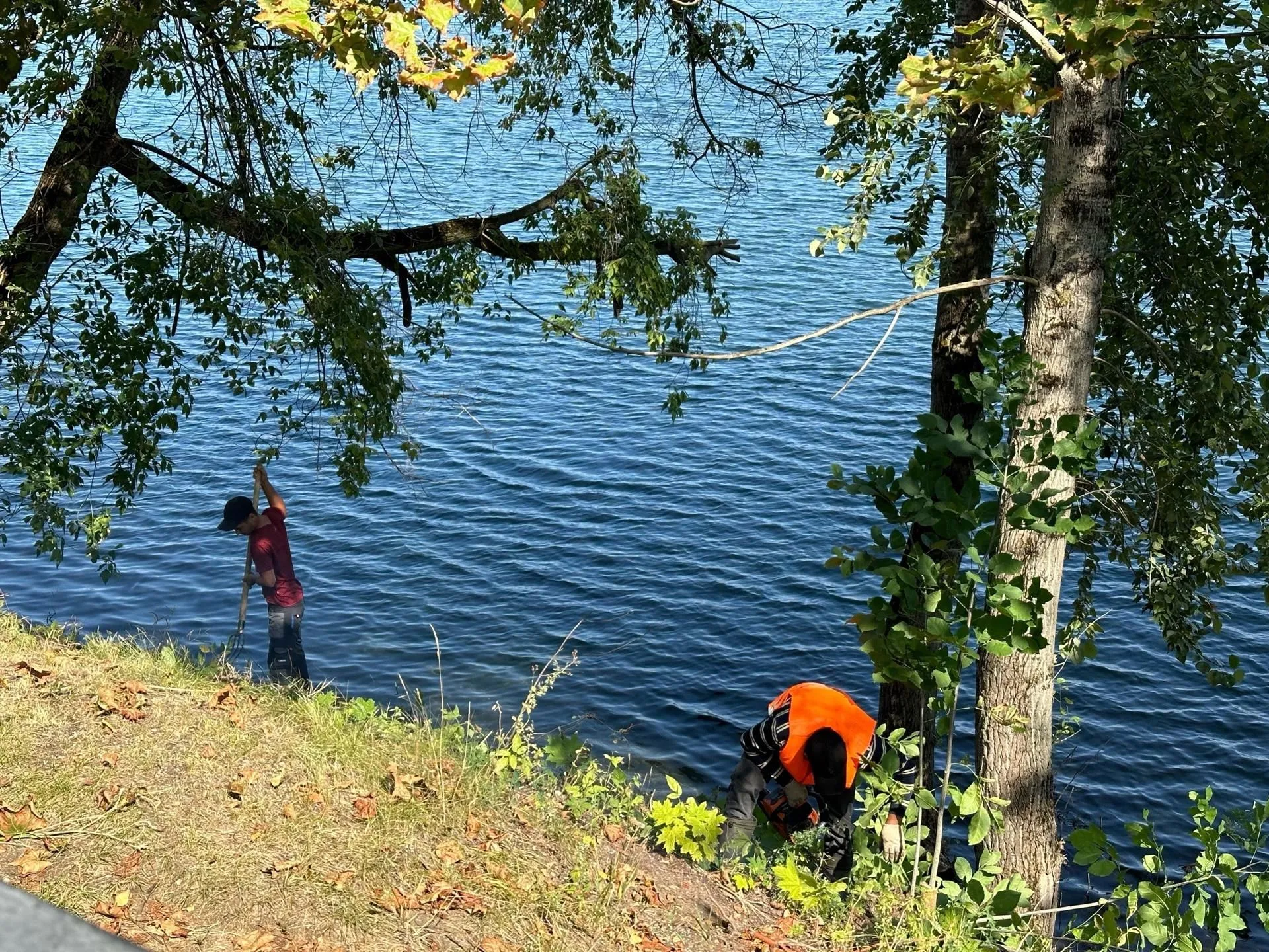 Фото: Администрация городского округа Люберцы