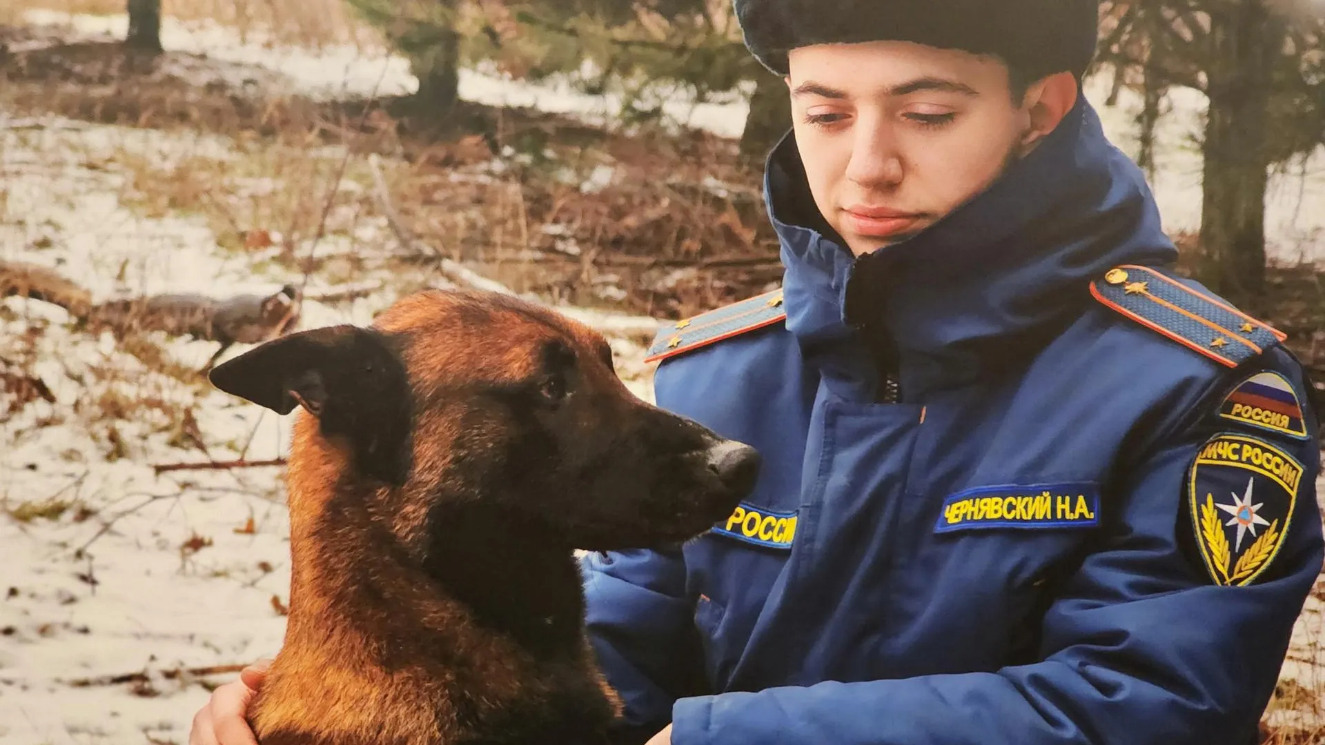 Картинка