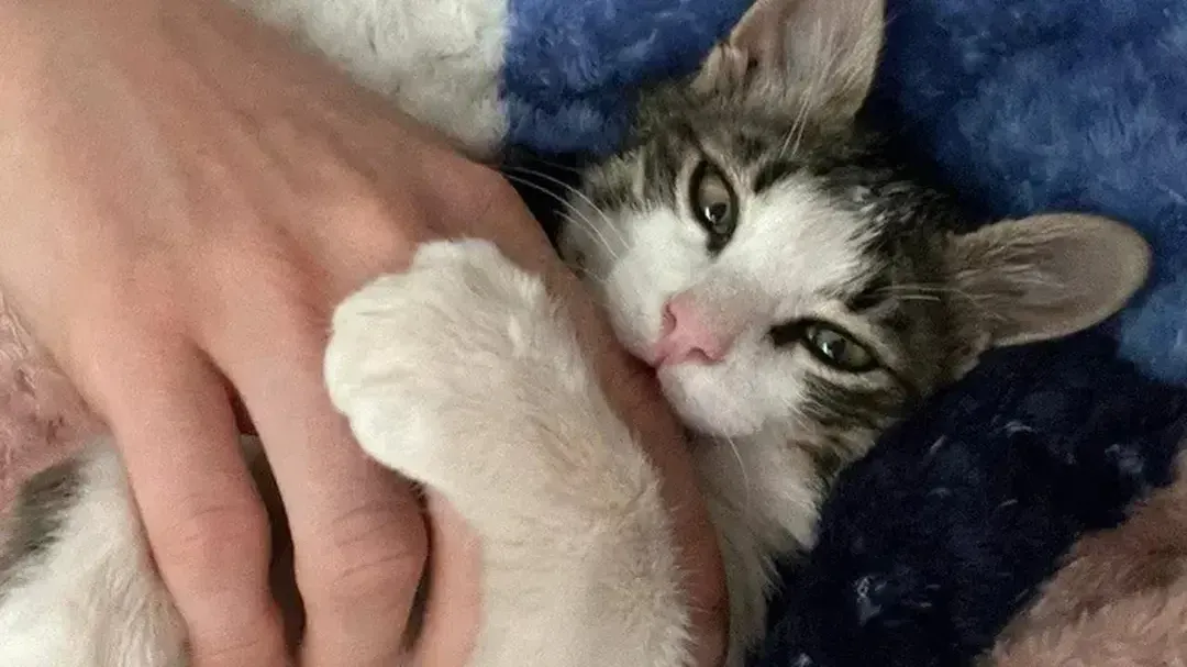 REGIONS/Наталья Надточая