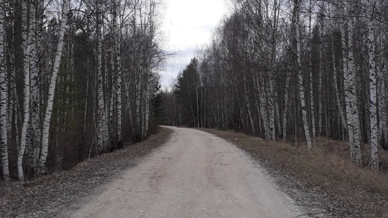 Личный архив Михаила Евстигнеева