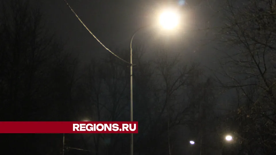 Фото: REGIONS/Василий Тремасов