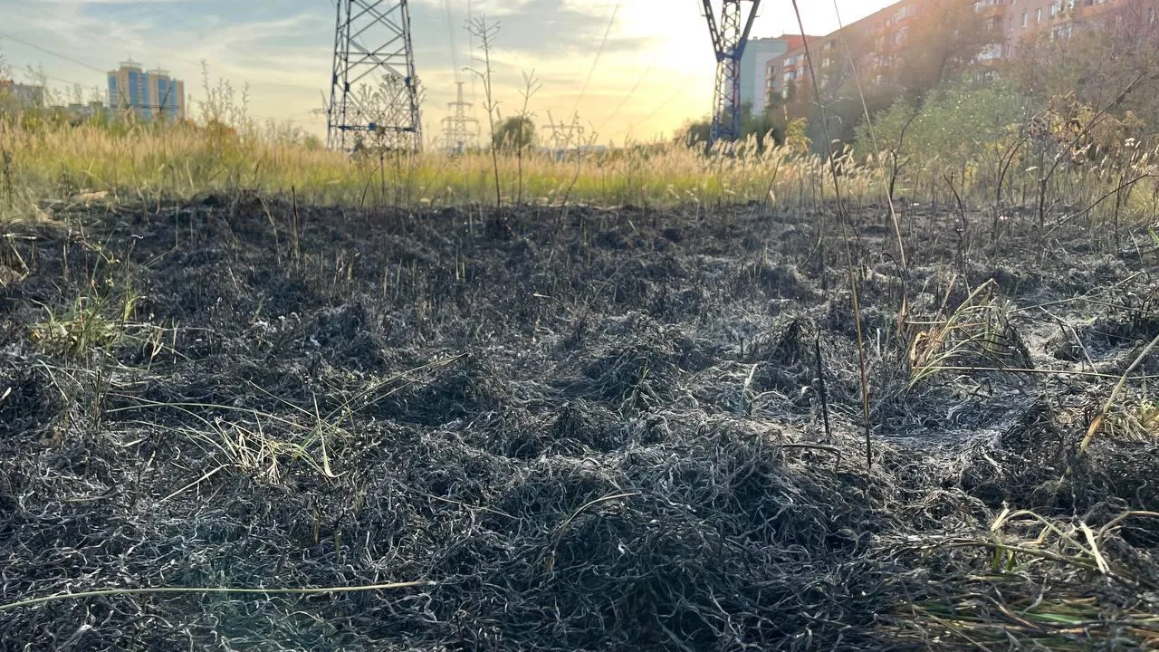 Ксения Казакова