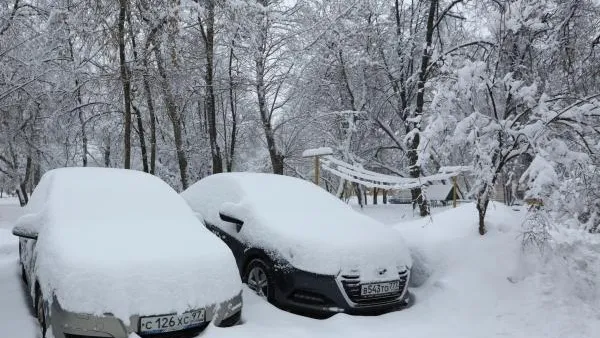 Олег Голод / 