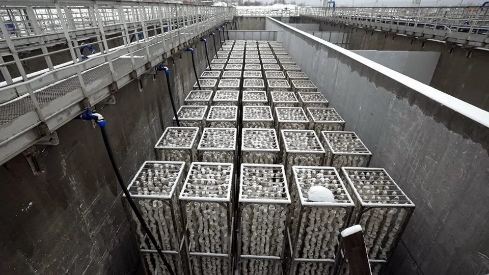 Фото: пресс-служба губернатора Московской области