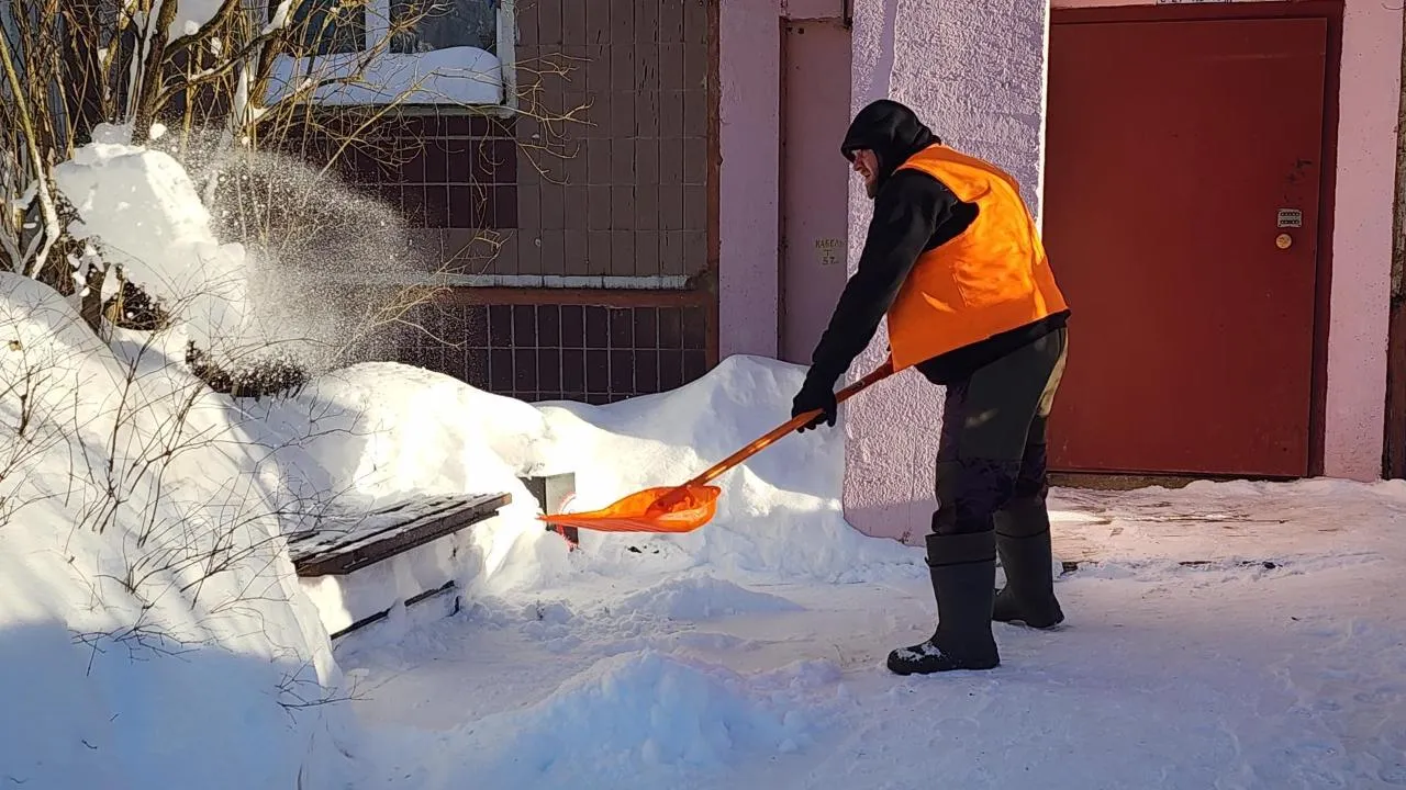 МедиаБанк Подмосковья/Дмитрий Беденко