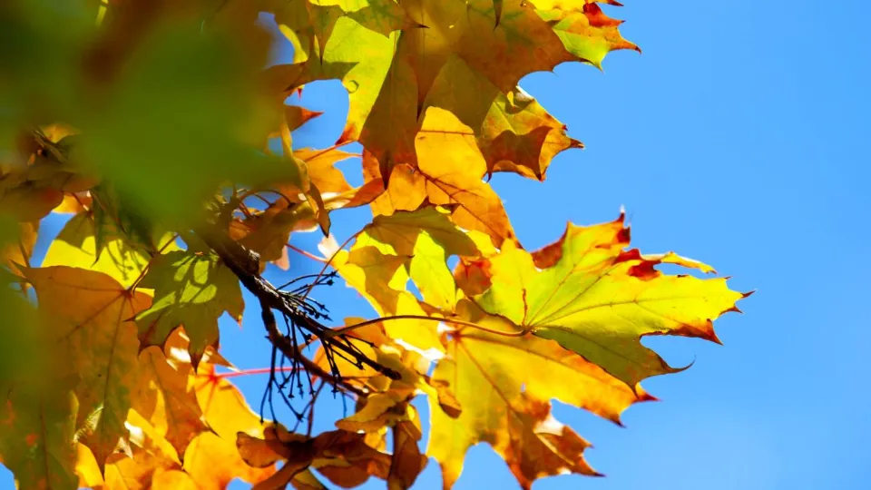 Фото: REGIONS/Владимир Ерастов