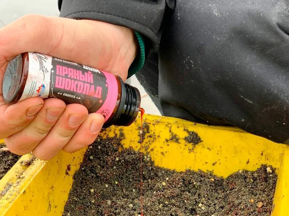 Фото: Тимофей Трофименко