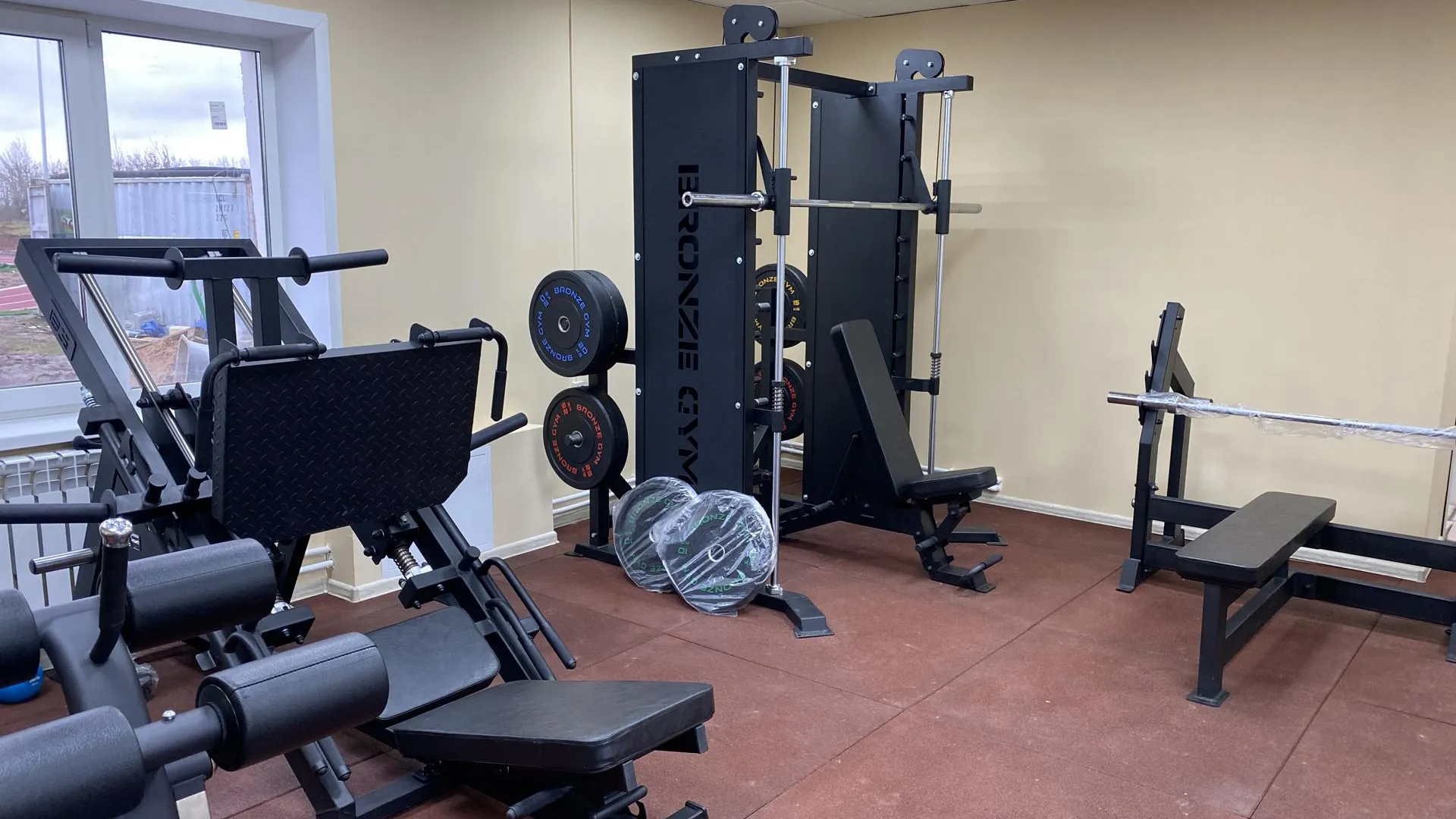 Дарья Шапочкина