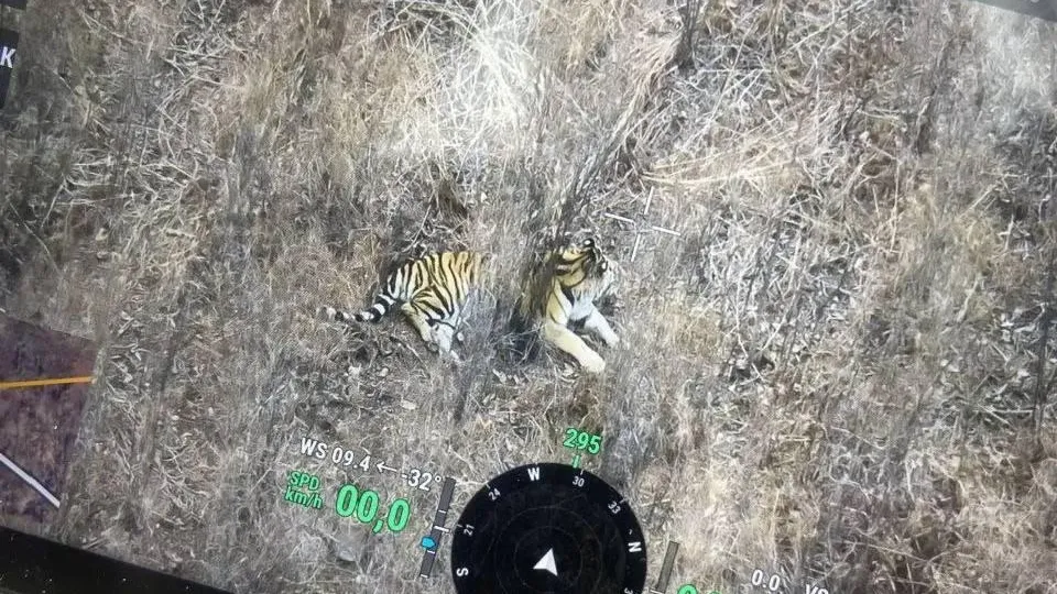 Минприроды Приморского края