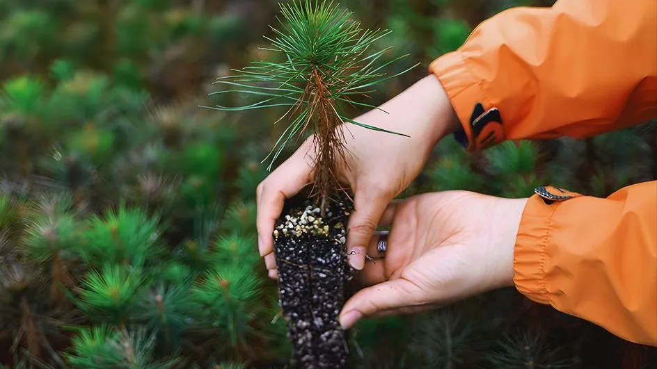 Фото: Новая жизнь / Telegram